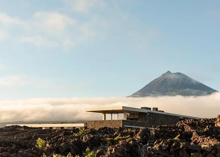 Apartment Azores Wine Company