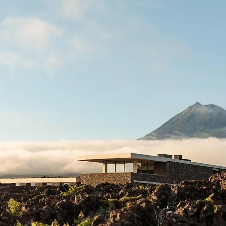 شقة Azores Wine Company