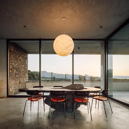 Azores Wine Company