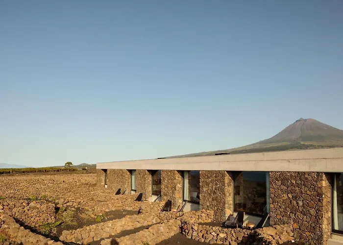 Azores Wine Company شقة *